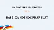 Bài 2: Xã hội học pháp luật