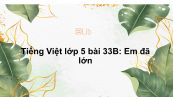 Tiếng Việt lớp 5 bài 33B: Em đã lớn