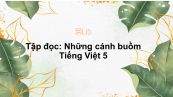 Tập đọc: Những cánh buồm Tiếng Việt 5