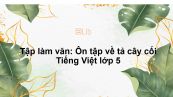 Tập làm văn: Ôn tập về tả cây cối Tiếng Việt lớp 5