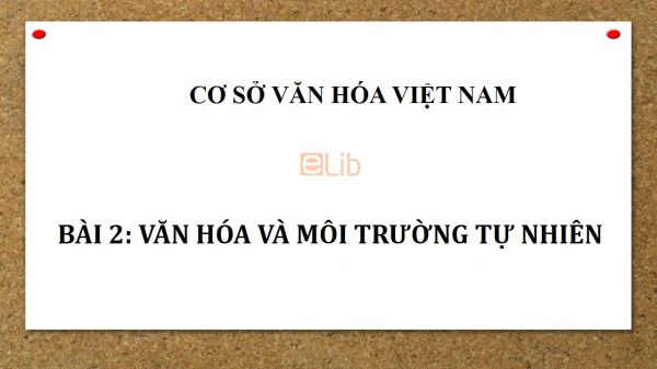 Bài 2: Văn hóa và môi trường tự nhiên