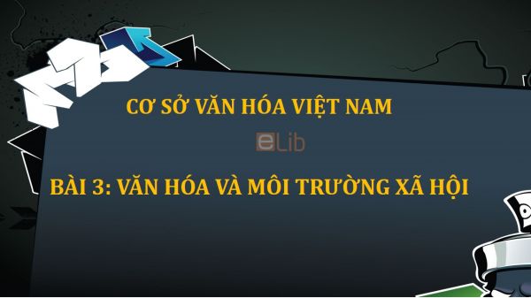 Bài 3: Văn hóa và môi trường xã hội