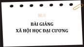 Bài giảng Xã hội học đại cương - Cao đẳng Công nghiệp và Xây dựng