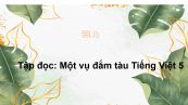 Tập đọc: Một vụ đắm tàu Tiếng Việt 5