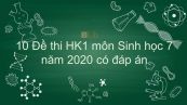 10 Đề thi học kì 1 môn Sinh học lớp 7 năm 2020 có đáp án