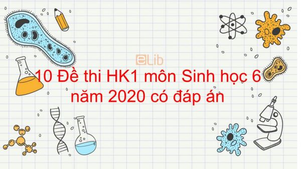 10 Đề thi học kì 1 môn Sinh học lớp 6 năm 2020 có đáp án