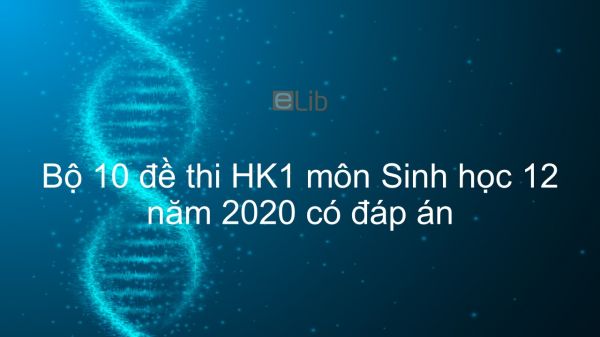 10 đề thi Học kì 1 môn Sinh lớp 12 năm 2020 có đáp án