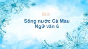 Sông nước Cà Mau Ngữ văn 6