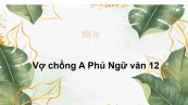 Vợ chồng A Phủ Ngữ văn 12