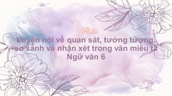 Luyện nói về quan sát, tưởng tượng, so sánh và nhận xét trong văn miêu tả Ngữ văn 6