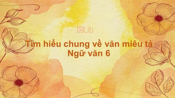 Tìm hiểu chung về văn miêu tả Ngữ văn 6