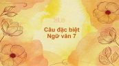 Câu đặc biệt Ngữ văn 7