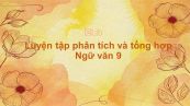 Luyện tập phân tích và tổng hợp Ngữ văn 9