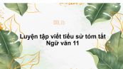 Luyện tập viết tiểu sử tóm tắt Ngữ văn 11