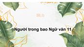 Người trong bao Ngữ văn 11