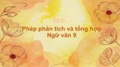 Phép phân tích và tổng hợp Ngữ văn 9