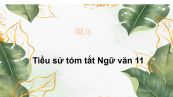 Tiểu sử tóm tắt Ngữ văn 11