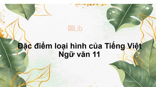 Đặc điểm loại hình của Tiếng Việt