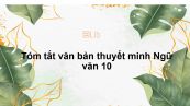 Tóm tắt văn bản thuyết minh Ngữ văn 10