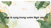 Đọc thêm: Mùa lá rụng trong vườn Ngữ văn 12