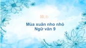 Mùa xuân nho nhỏ Ngữ văn 9