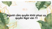 Người cầm quyền khôi phục uy quyền Ngữ văn 11