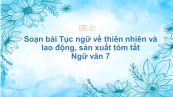 Soạn bài Tục ngữ về thiên nhiên và lao động, sản xuất Ngữ văn 7 tóm tắt
