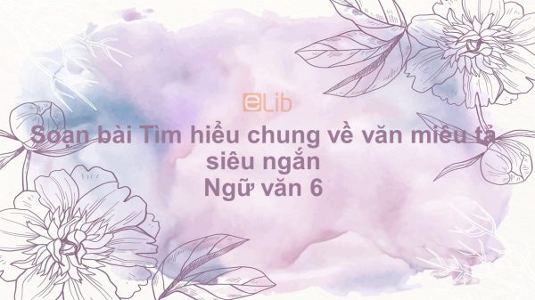 Soạn bài Tìm hiểu chung về văn miêu tả Ngữ văn 6 siêu ngắn