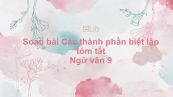 Soạn bài Các thành phần biệt lập Ngữ văn 9 tóm tắt