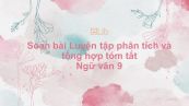 Soạn bài Luyện tập phân tích và tổng hợp Ngữ văn 9 tóm tắt