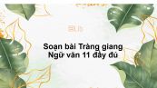 Soạn bài Tràng giang Ngữ văn 11 đầy đủ