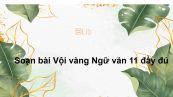 Soạn bài Vội vàng Ngữ văn 11 đầy đủ