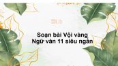 Soạn bài Vội vàng Ngữ văn 11 siêu ngắn