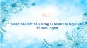 Soạn bài Bắt sấu rừng U Minh Hạ Ngữ văn 12 siêu ngắn