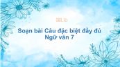 Soạn bài Câu đặc biệt Ngữ văn 7 đầy đủ