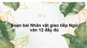 Soạn bài Nhân vật giao tiếp Ngữ văn 12 đầy đủ