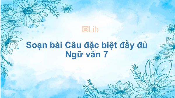 Soạn bài Câu đặc biệt Ngữ văn 7 đầy đủ