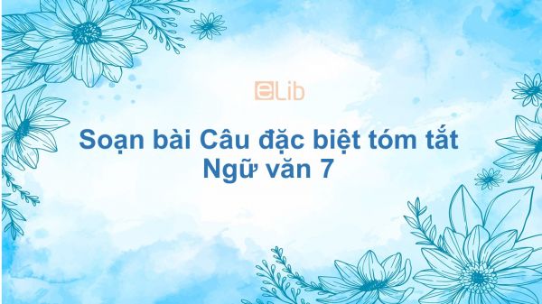 Soạn bài Câu đặc biệt Ngữ văn 7 tóm tắt