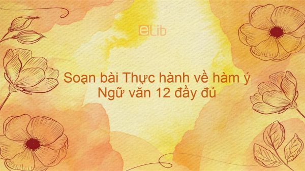 Soạn bài Thực hành về hàm ý Ngữ văn 12 đầy đủ