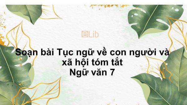 Soạn bài Tục ngữ về con người và xã hội Ngữ văn 7 tóm tắt