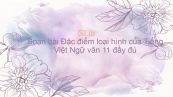 Soạn bài Đặc điểm loại hình của Tiếng Việt Ngữ văn 11 đầy đủ
