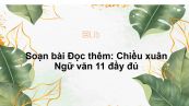 Soạn bài Đọc thêm: Chiều xuân Ngữ văn 11 đầy đủ