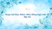 Soạn bài Đọc thêm: Nhớ đồng Ngữ văn 11 đầy đủ