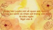 Soạn bài Luyện nói về quan sát, tưởng tượng, so sánh và nhận xét trong văn miêu tả Ngữ văn 6 siêu ngắn