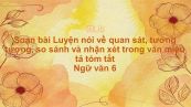 Soạn bài Luyện nói về quan sát, tưởng tượng, so sánh và nhận xét trong văn miêu tả Ngữ văn 6 tóm tắt