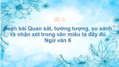 Soạn bài Quan sát, tưởng tượng, so sánh và nhận xét trong văn miêu tả Ngữ văn 6 đầy đủ