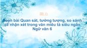 Soạn bài Quan sát, tưởng tượng, so sánh và nhận xét trong văn miêu tả Ngữ văn 6 siêu ngắn