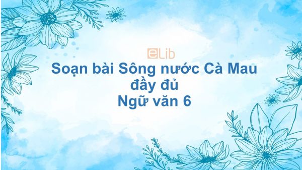 Soạn bài Sông nước Cà Mau Ngữ văn 6 đầy đủ