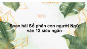 Soạn bài Số phận con người Ngữ văn 12 siêu ngắn