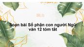 Soạn bài Số phận con người Ngữ văn 12 tóm tắt